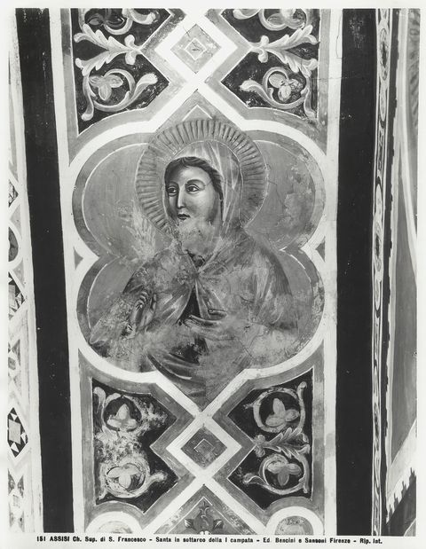 Sansoni, Mario/ Bencini, Giulio — Assisi - Ch. Sup. di S. Francesco - Santa in sottarco della I campata — particolare